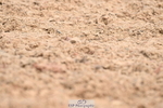 240324A-105157-01057