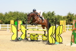 SBM_001493