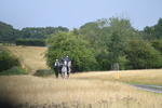 WJ6_1646