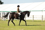 SBM_19214