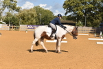 SBM_05582