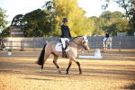 SBM_14527