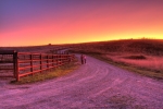 The Wilds at Sunset