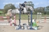 BPP_8534