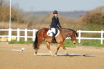 SBM_002984