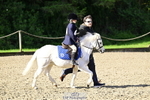 40cm Lead Rein portfolio
