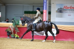 SBM_00799