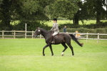 SBM_73809