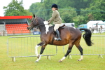 SBM_00946