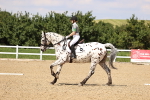 SBM_002061