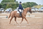 JAC_5200