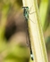 20080623-018