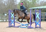 Jump Lesson with Kelly Harris at BCA 04-04-26 portfolio