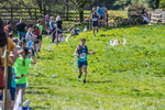 The Finish-337