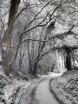 Lydbrook Lane