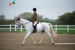 SBM_003461