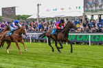 150526-Race 3-Warrant Holder-7551