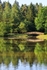 Footbridge Reflections