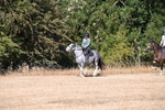WJ6_7795