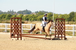 SBM_000753