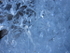 Ice Watch 1