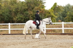 SBM_001164