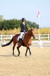 SBM_008367