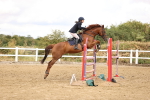 SBM_026833