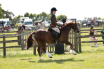 SBM_08486