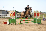 Class 7 - Senior British Novice - 90cm Open portfolio