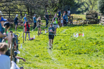 The Finish-1115