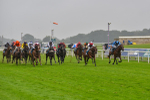 140723-Race 6-Copper Knight-8348