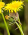 20140405-3K8A9941