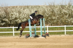SBM_002781