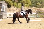 SBM_001488