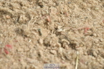 230513A-120210-00815