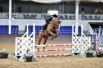SBM_000381