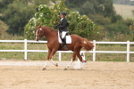 SBM_01461