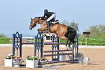 Cls 8 Foxhunter portfolio