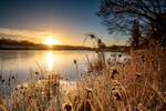 z3579 Frosty Wootton Sunrise