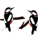 Woodpeckers