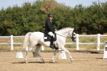 SBM_008497