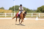 SBM_010416