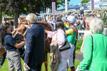 160525-Race 3-Kon Tiki-6522