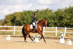 SBM_003639