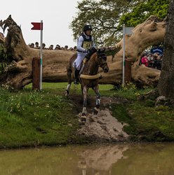Mitsubishi Motors Badminton Horse Trials. portfolio