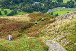 Arnison Crag-131
