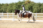 SBM_003408