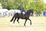 SBM_14516