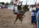 3HRodeo7-27-25_CFD_04063_Qynn Andersen